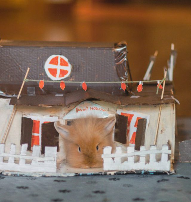 Protected: Asher’s 1st Post